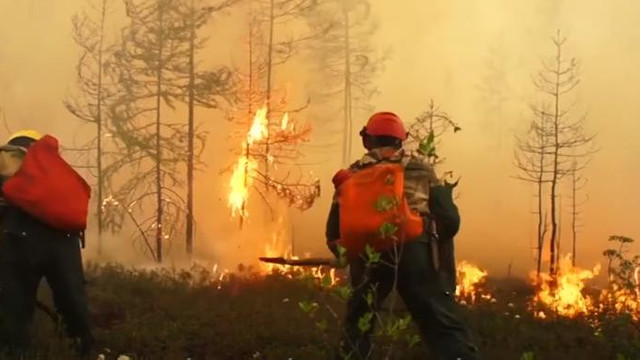 Puternicele incendii de pădure încă active în Siberia