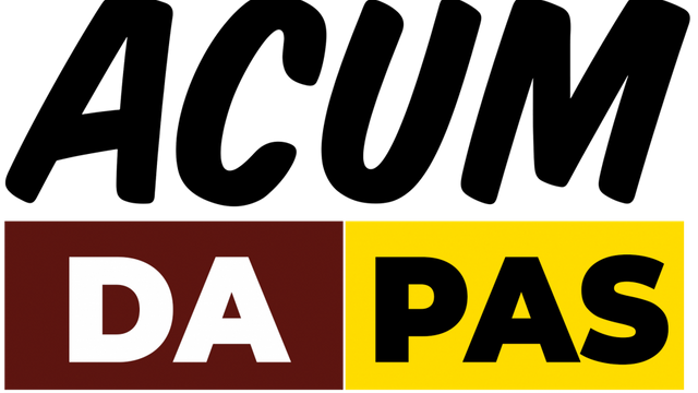 PPDA și PAS au depus actele la CEC ca bloc electoral ACUM, pentru a participa la alegerile parlamentare noi