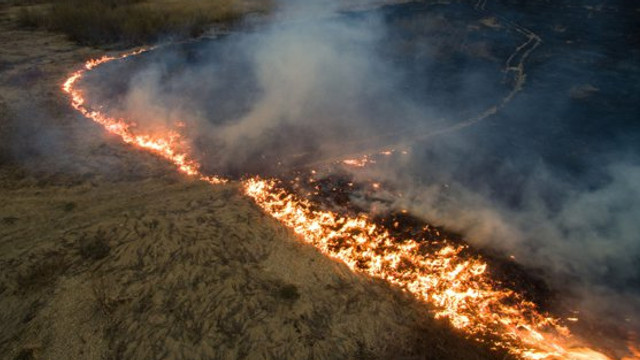Suprafața uriașă pe care s-au extins incendiile de vegetație din Siberia