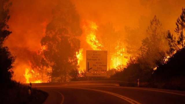 Spania - Incendiul din insula Gran Canaria a fost izolat