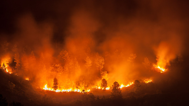 Grecia, afectată de un incendiu masiv pe insula Evia