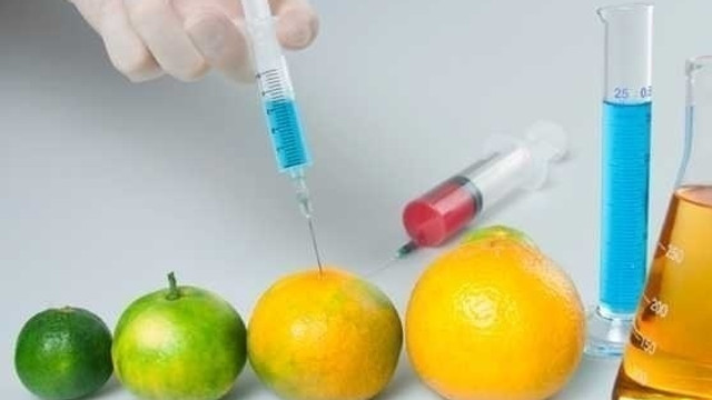 Statul nu are mecanism de control eficient al produselor modificate genetic, comsie 