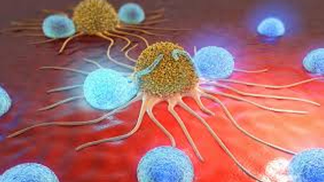 STUDIU | Celulele canceroase devin ''canibale'' pentru a putea supraviețui chimioterapiei și să reatace chiar și după încheierea tratamentului