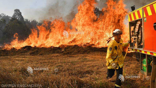 Australia - Peste o sută de incendii de pădure, active în estul țării