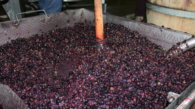 Atenție la vinul în proces de fermentare! Un bărbat fost găsit mort în beci
