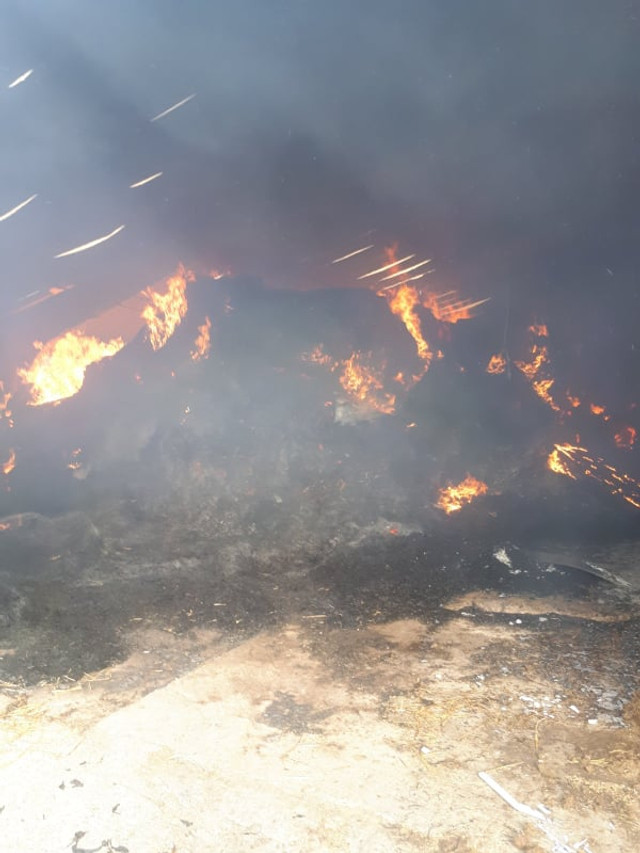 Peste 50 de bovine au ars de vii într-o fermă din raionul Orhei