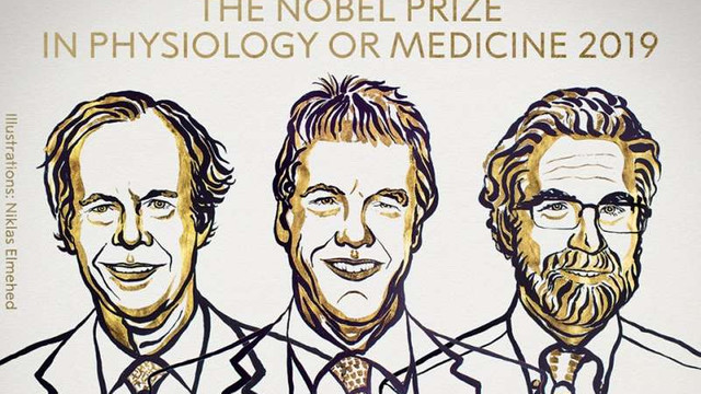 Nobel 2019 | William G. Kaelin, Peter J. Ratcliffe și Gregg L. Semenza, câștigătorii premiului Nobel pentru Medicină