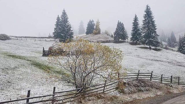 VIDEO | Prima ninsoare din această toamnă în Suceava, România: S-a așternut un strat subțire de zăpadă, iar omătul s-a depus și pe copaci