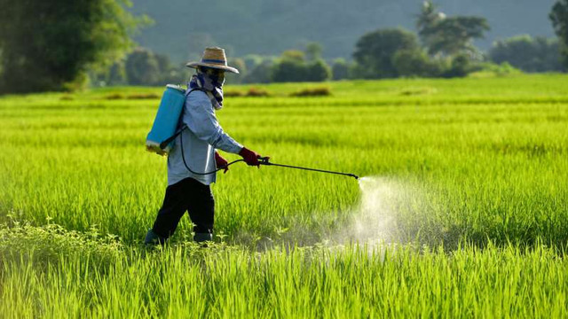 Peste 1600 de terenuri sunt contaminate cu pesticide și pun în pericol viața și sănătatea cetățenilor