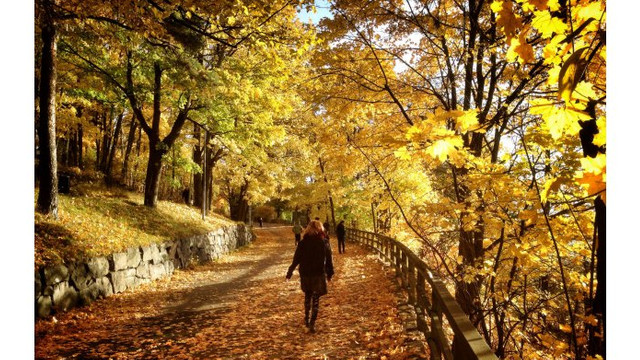 În următoarele zile, vremea se va încălzi