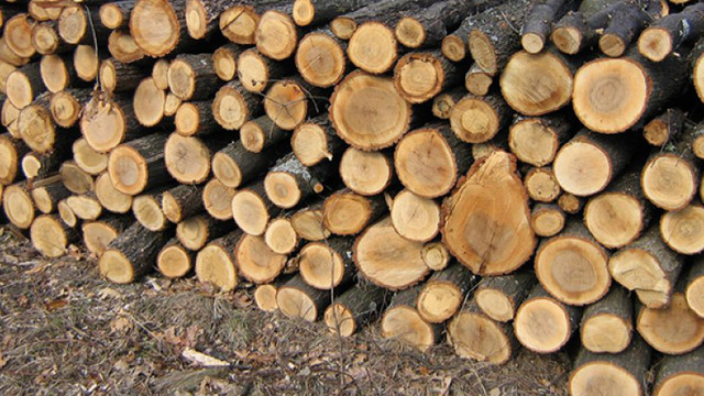 Prețuri mai mari la lemnul de foc de specii tari