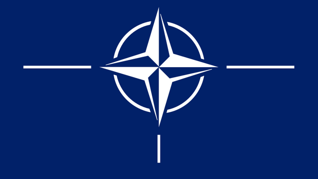 11 țări participă la exerciții militare ale NATO în Lituania