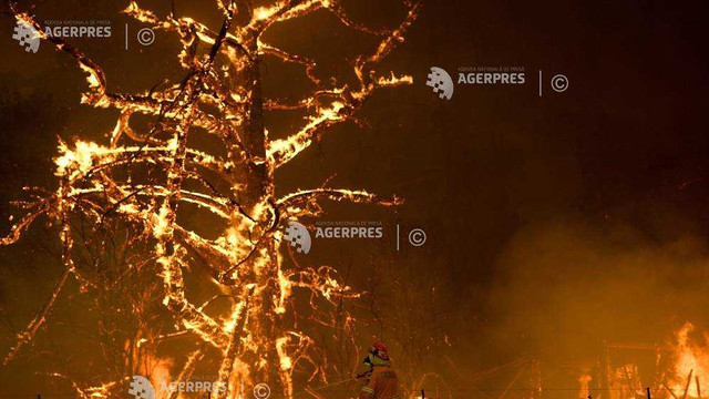 Australia - Condițiile meteo ''catastrofice'' favorizează propagarea incendiilor