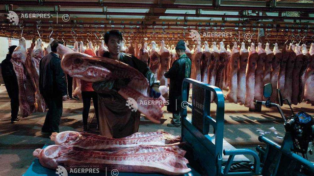 Pesta porcină l-a făcut pe un fermier chinez cel mai rapid miliardar al lumii