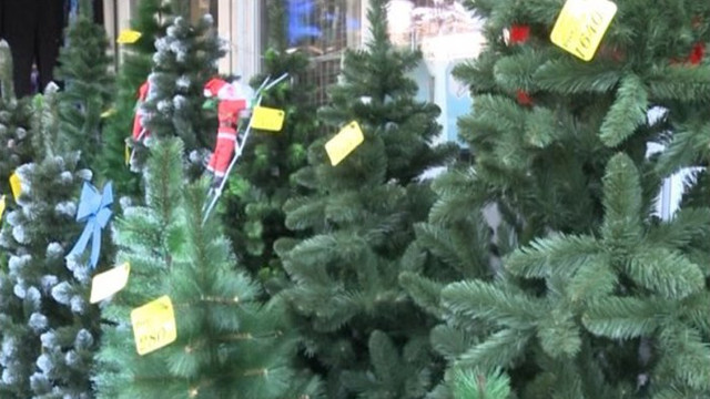 Specialiștii au venit cu recomandări în alegerea pomilor artificiali de Crăciun
