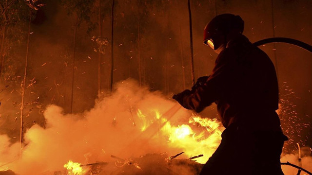 VIDEO | Incendiu de vegetație la Strășeni