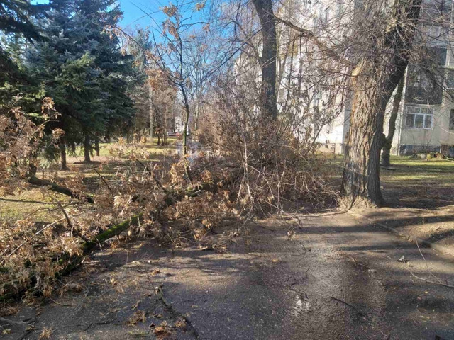 FOTO, după vântul puternic în Chișinău | Locuitorii capitalei sunt îndemnați să fie prudenți când se deplasează pe străzi