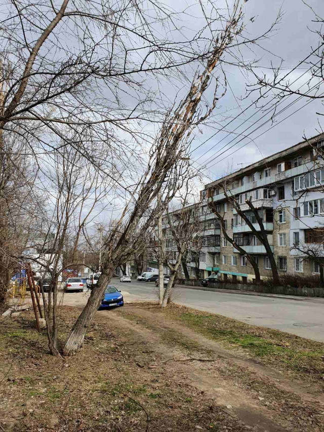 FOTO, după vântul puternic în Chișinău | Locuitorii capitalei sunt îndemnați să fie prudenți când se deplasează pe străzi