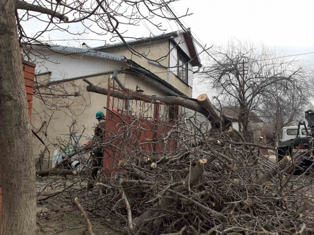 FOTO, după vântul puternic în Chișinău | Locuitorii capitalei sunt îndemnați să fie prudenți când se deplasează pe străzi