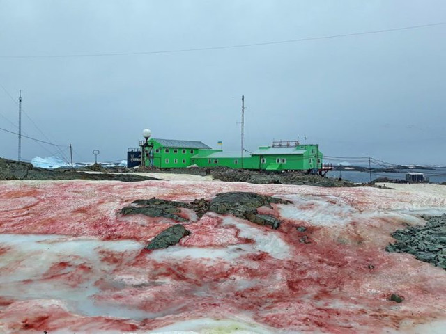 FOTO: Zăpada a devenit roșie la o stație de cercetare din Antarctica
