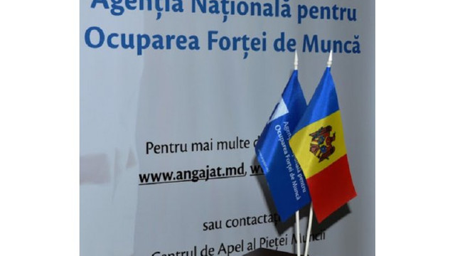 Observatorul Pieței Muncii: Se caută angajați pentru mai bine de 8500 de locuri de muncă