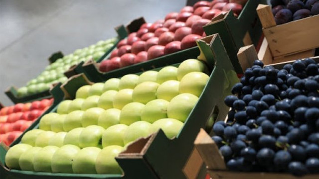 USAID va oferi granturi pentru înlesnirea exportului de fructe și struguri de masă