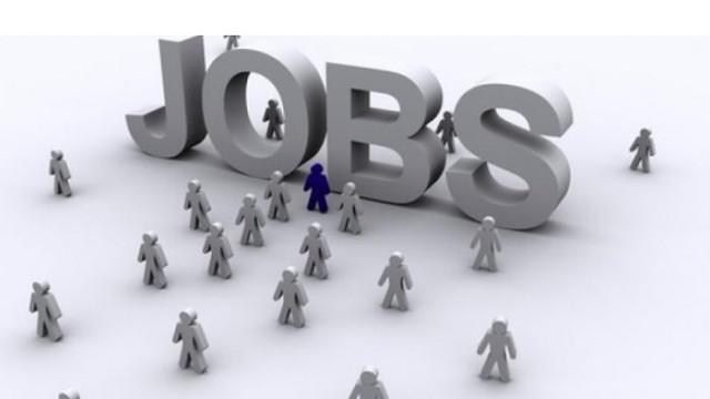 Modificări în politicile de ocupare a forței de muncă și migrația de muncă (Bizlaw)

