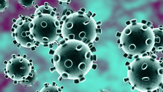 Cele mai periculoase 12 virusuri din lume 