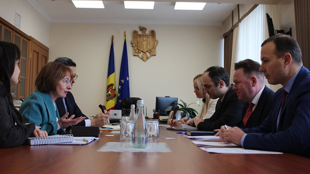 Vicepremierul Alexandru Flenchea a avut o întrevedere cu un oficial al Consiliului Europei