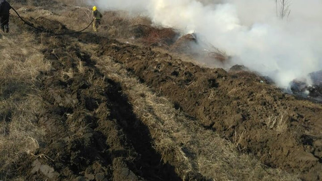 FOTO | Incendiu de vegetație uscată la Căușeni