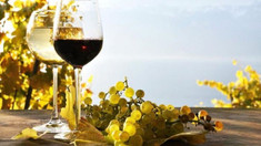 România ocupă primul loc în topul celor 10 țări în care au fost exportate cele mai multe vinuri moldovenești îmbuteliate