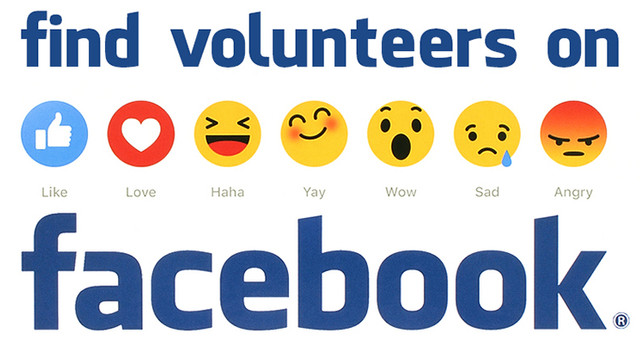 Voluntarii au organizat traducerea în rețelele sociale a actelor oficiale privind SU