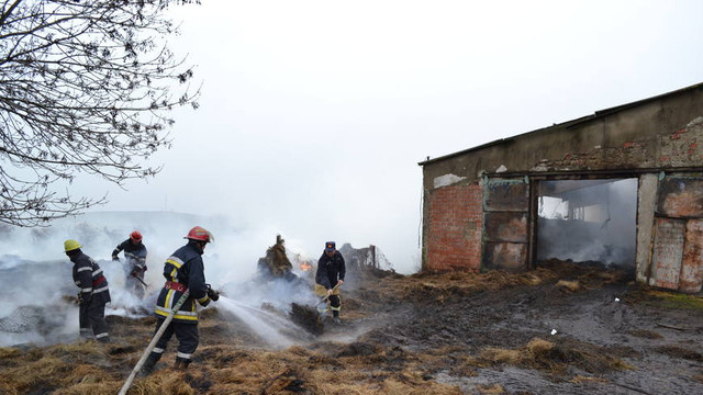 Un incendiu izbucnit într-o gospodărie din raionul Leova a mistuit 35 de oi