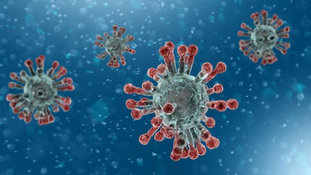 Experiment: Cât de repede se răspândește coronavirusul într-un restaurant cu autoservire
