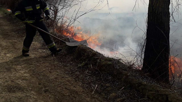 VIDEO/FOTO | Incendiul care a mistuit Rezervația naturală Prutul de Jos. Mai mult de 12 ore de luptă cu flăcările