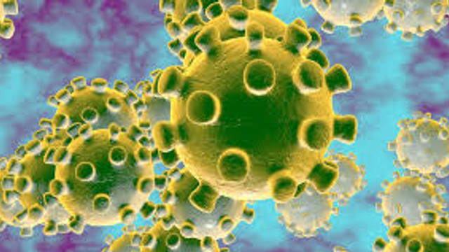 OMS | La sfârșitul verii este posibil un nou val de pandemie de coronavirus