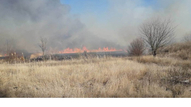Peste 600 de hectare de vegetație uscată au fost mistuite de flăcări în ultimele 24 de ore