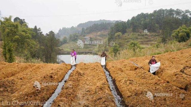 Coronavirus: China anunță că 78 de milioane de muncitori agricoli navetiști s-au întors deja la lucru