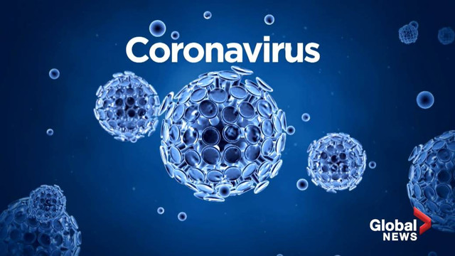 Cercetătorii germani au stabilit cât timp rezistă virusul SARS-CoV-2 în corpul pacienților decedați (STUDIU)