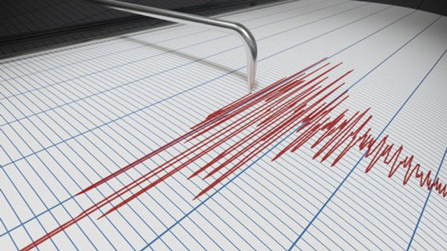 Cutremur cu magnitudinea 4,8 în România
