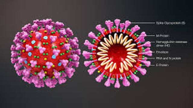  Răspândirea coronavirusului induce surse suplimentare de presiuni dezinflaționiste