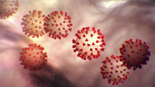 EXPERIMENT | La ce temperatură exactă poate fi distrus coronavirusul. Cercetătorii au încercat să-l țină o oră la 60 grade Celsius