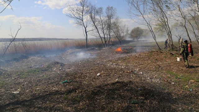 VIDEO | Zeci de incendii de vegetație și peste 200 de hectare afectate, în ultimele 24 de ore