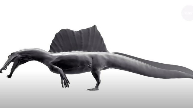 Oamenii de știință au descoperit prima specie de dinozaur înotător