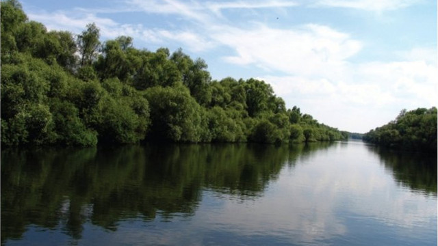Nivelul apei în cursul superior al râului Prut va crește