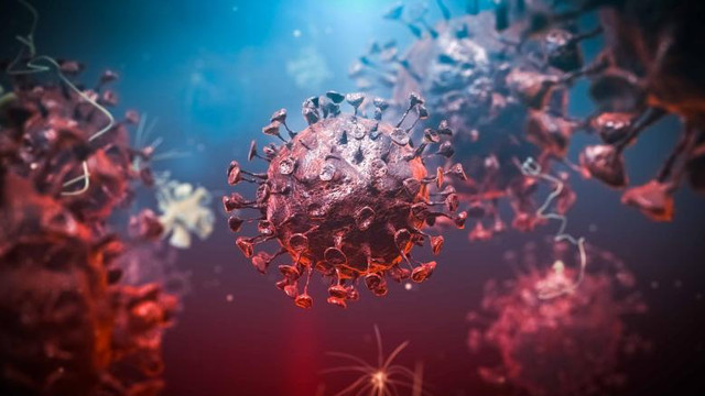 Oamenii de știință au precizat cum atacă coronavirusul corpul uman