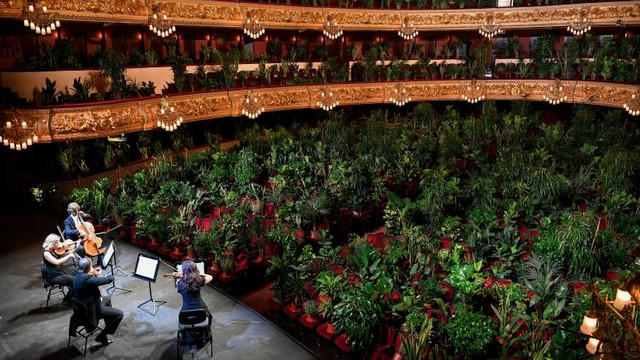 VIDEO | Concert inedit la Opera din Barcelona. Artiștii au cântat pentru 2.300 de plante decorative