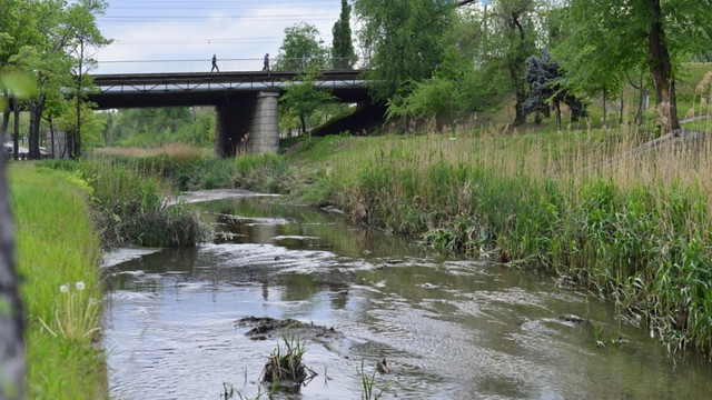 Comisia situații excepționale a municipiului Chișinău a stabilit cum va fi curățat râul Bâc, pentru a preveni o eventuală catastrofă ecologică