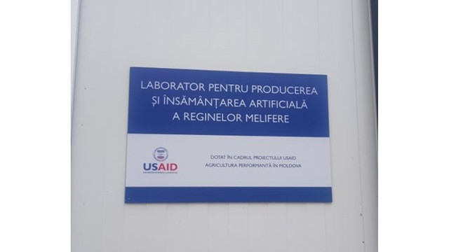 Primul laborator pentru însămânțarea artificială a reginelor de albine a fost deschis în raionul Cimișlia