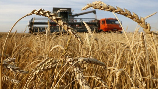 Problema producătorilor de cereale din R.Moldova și nesiguranța privind exportul acestora
